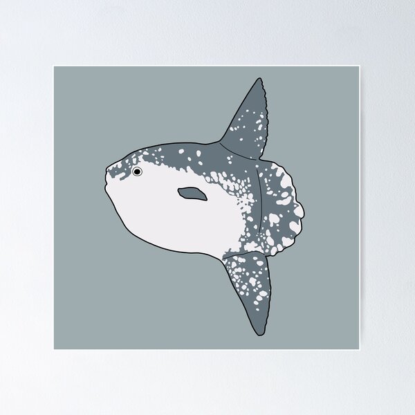 Item preview, Mola Mola designed and sold by taylorrowan.