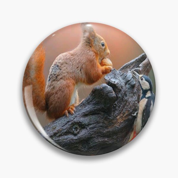 Item preview,  Squirrel designed and sold by Billlogan.