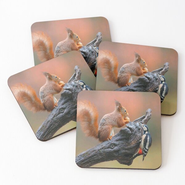 Item preview,  Squirrel designed and sold by Billlogan.