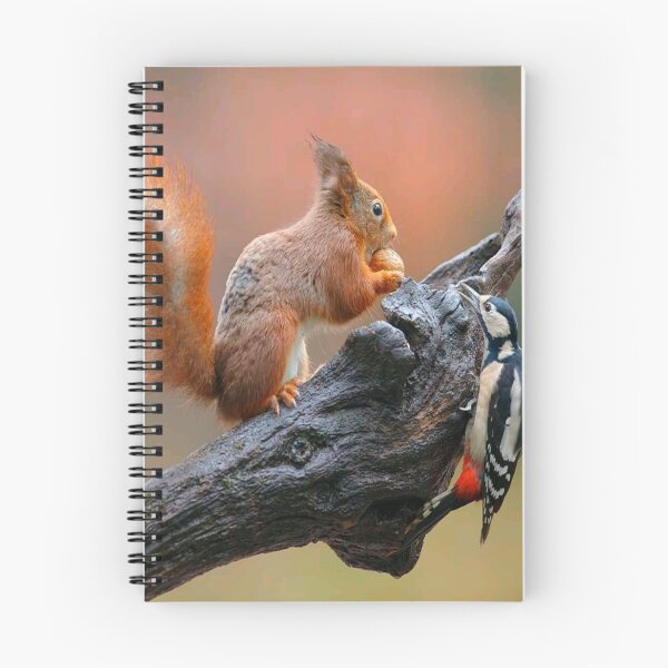 Item preview,  Squirrel designed and sold by Billlogan.