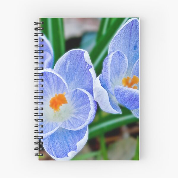 Item preview, Pastel shades of blue designed and sold by Anthony Hedger Photography.