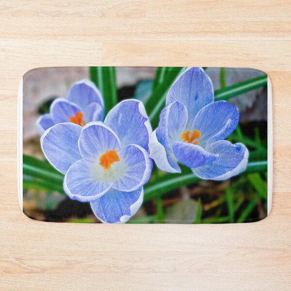 Item preview, Pastel shades of blue designed and sold by Anthony Hedger Photography.