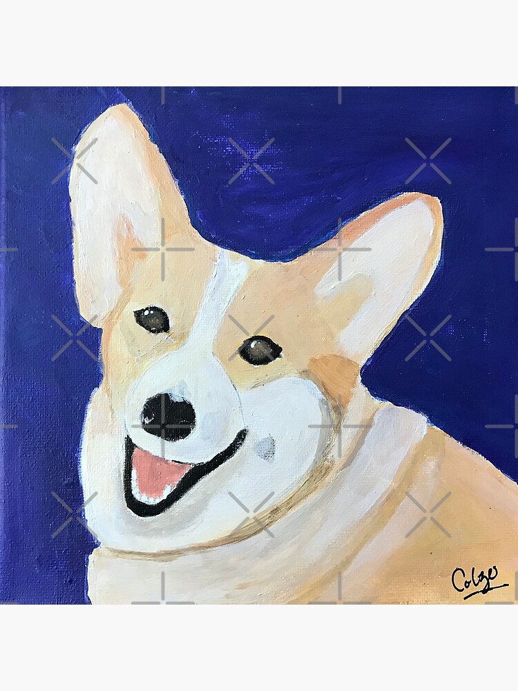 Chunky corgi best sale