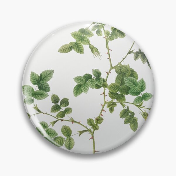 Item preview, Les Roses by Pierre-Joseph Redouté designed and sold by EsotericBotanic.