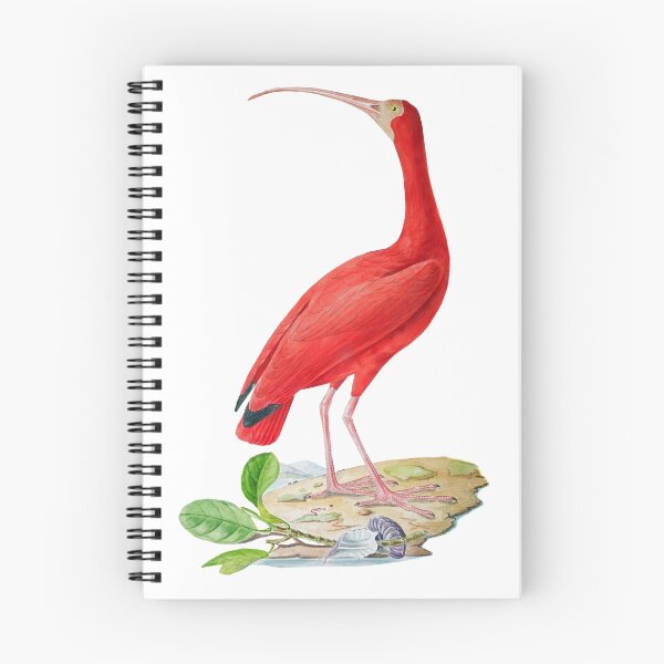 Item preview, TIR-Brazil-Bird-5 designed and sold by imageresource.