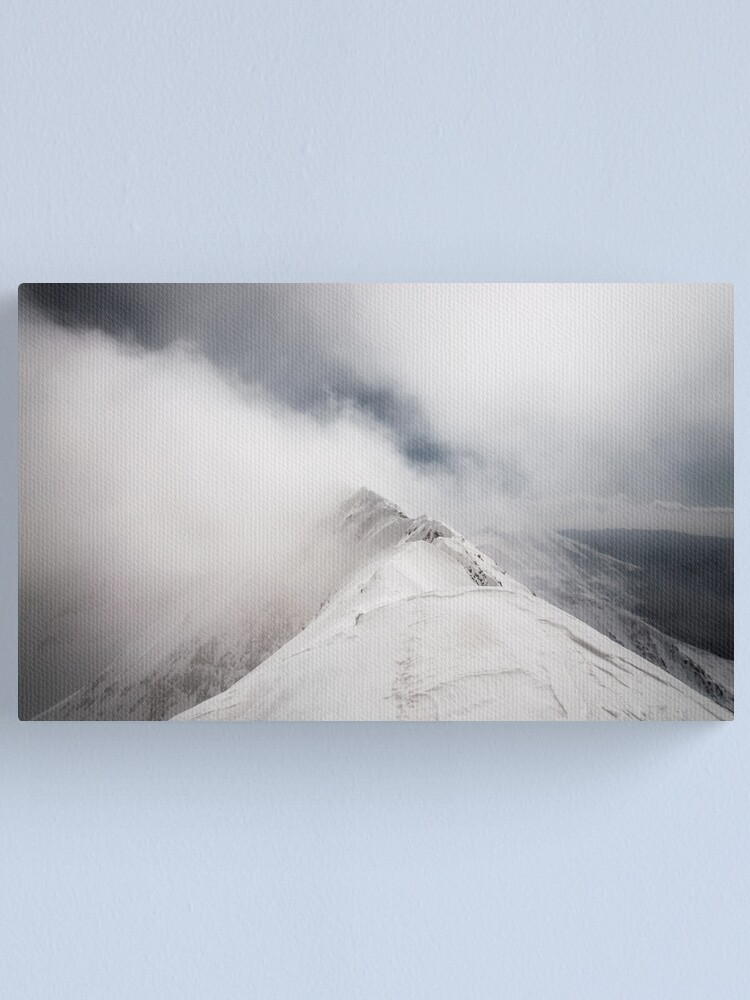 Alternate view of Revealing Canvas Print