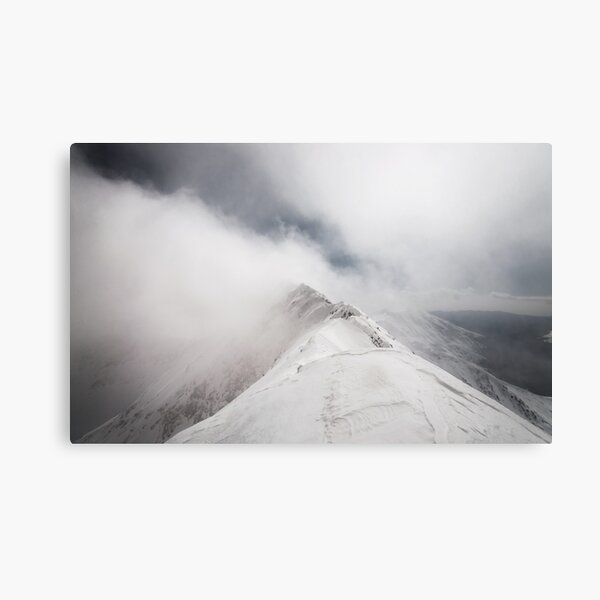 Revealing Metal Print