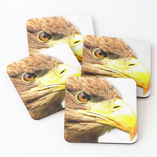 Item preview, Radiance of the Raptor up close and personal designed and sold by Anthony Hedger Photography.
