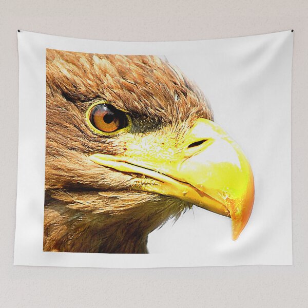 Item preview, Radiance of the Raptor up close and personal designed and sold by Anthony Hedger Photography.