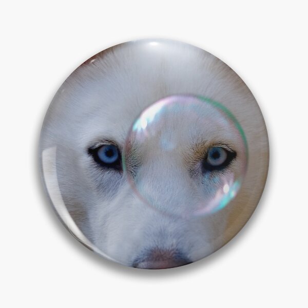 Item preview, So, how long did you say I have to balance this on my nose dad? designed and sold by Anthony Hedger Photography.