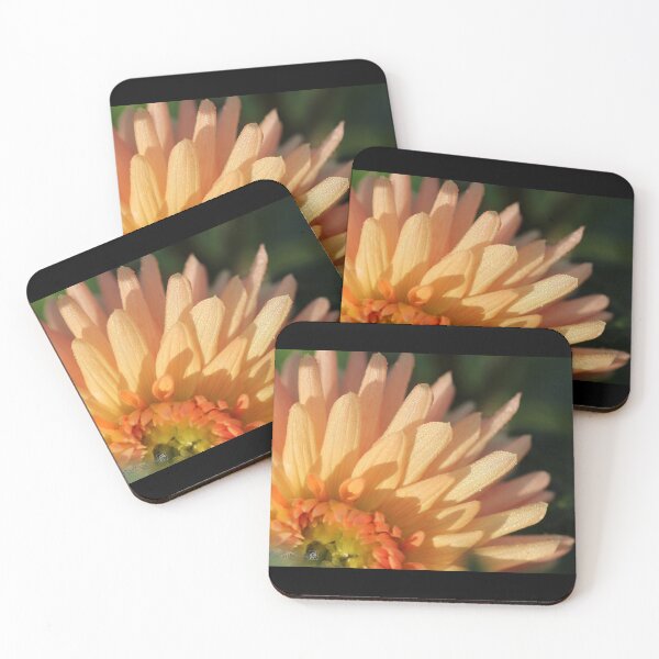 Item preview, Dahlia named Embrace designed and sold by JMcCombie.