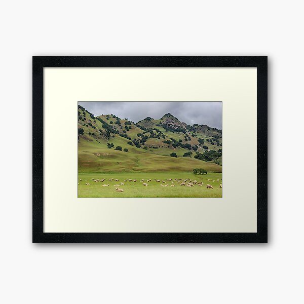 Sutter Buttes - Spring Framed Art Print