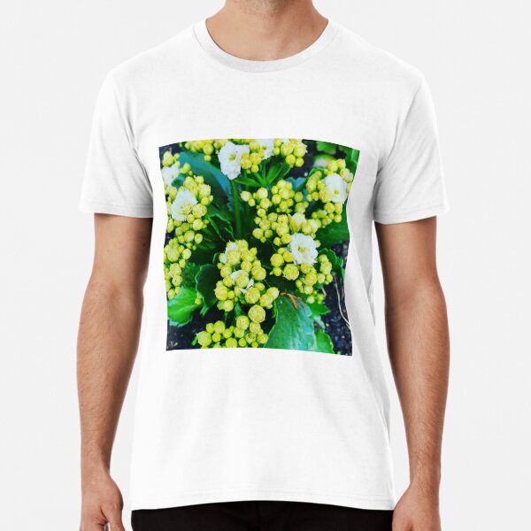 White Flower Buds Premium T-Shirt