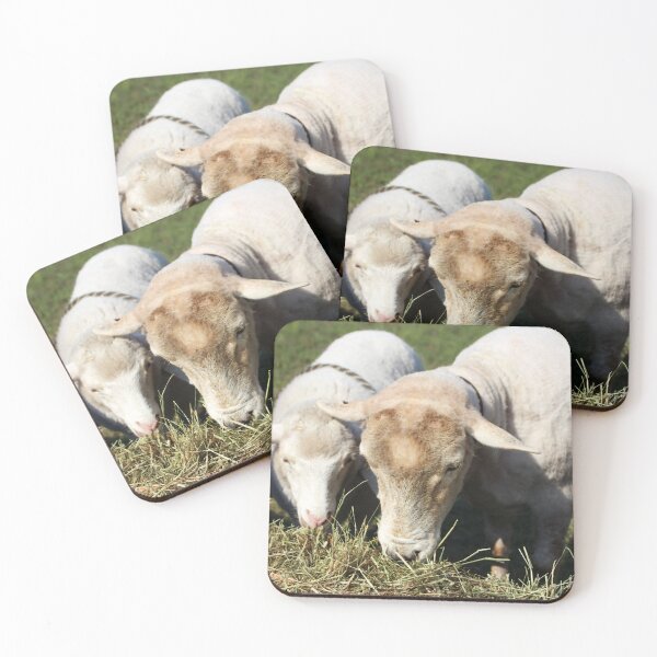 Item preview, Feeding Lambs designed and sold by Cynthia48.