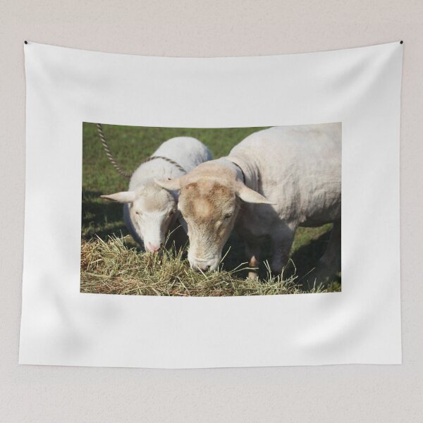 Item preview, Feeding Lambs designed and sold by Cynthia48.
