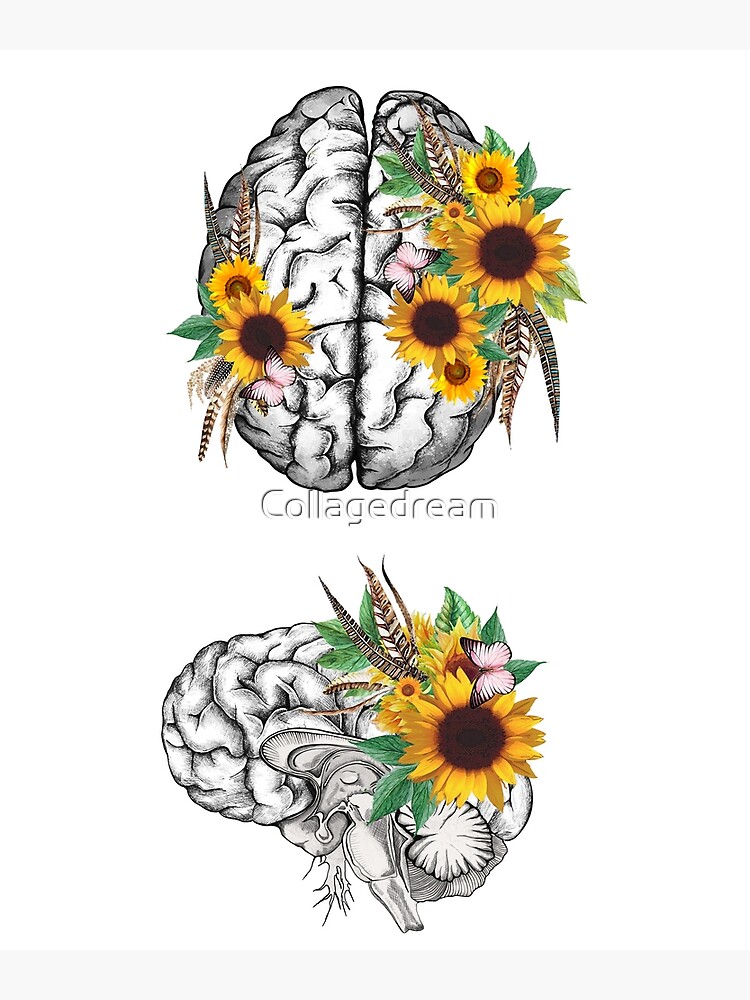 Sunflowers Brain with feathers, suflowers lovers, front and