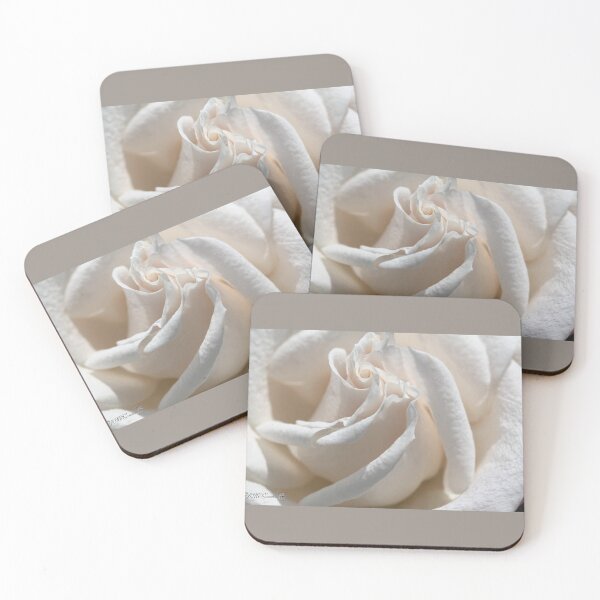 Item preview, Long-Stemmed White Rose designed and sold by JMcCombie.