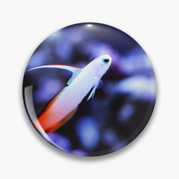 Item preview, Fire Fish designed and sold by creativeography.