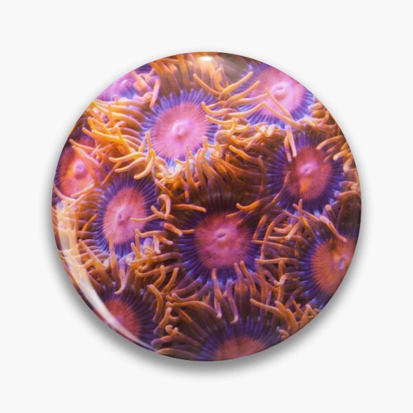 Item preview, Orange Coral designed and sold by creativeography.