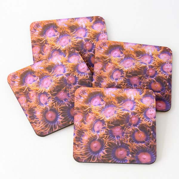 Item preview, Orange Coral designed and sold by creativeography.