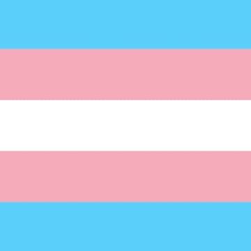 Artwork thumbnail, transgender flag by Multiminjae
