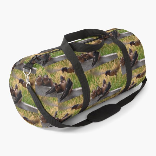 Item preview, Lunch is Served to the Fourth Baby Barn Swallow designed and sold by JMcCombie.