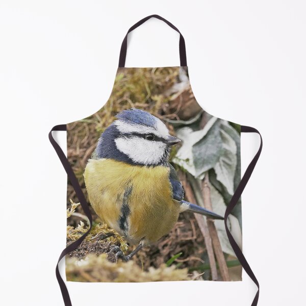 Item preview, r1460/ New Finition - 2021 - mésange b 11 (c)(t) Olavia-Olao Okaio Créations designed and sold by o.okaïo.