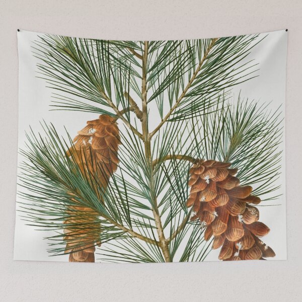 Item preview, Vintage Pine Branch Poster designed and sold by redoARTstore.