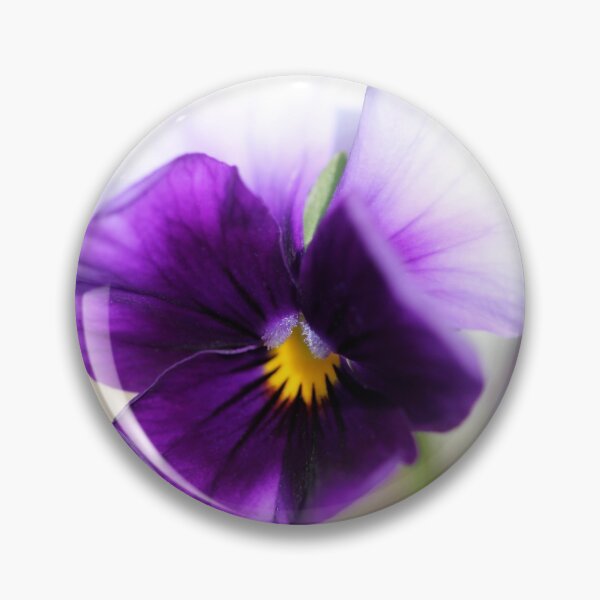 Item preview, Viola named Sorbet Violet Beacon designed and sold by JMcCombie.