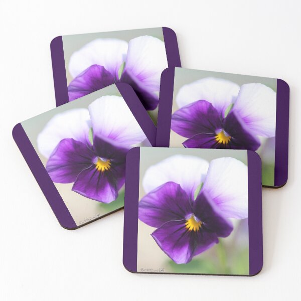 Item preview, Viola named Sorbet Violet Beacon designed and sold by JMcCombie.