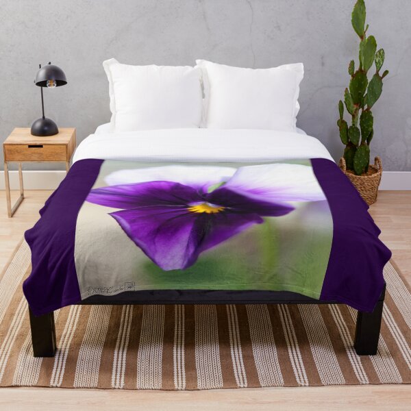 Item preview, Viola named Sorbet Violet Beacon designed and sold by JMcCombie.