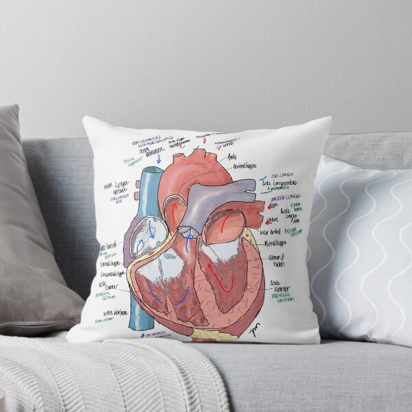 Item preview, Anatomical heart with lettering designed and sold by Johannamsd.