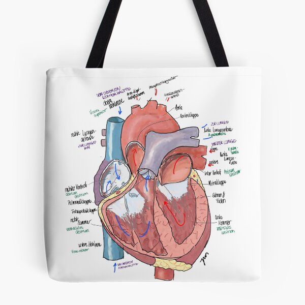 Item preview, Anatomical heart with lettering designed and sold by Johannamsd.