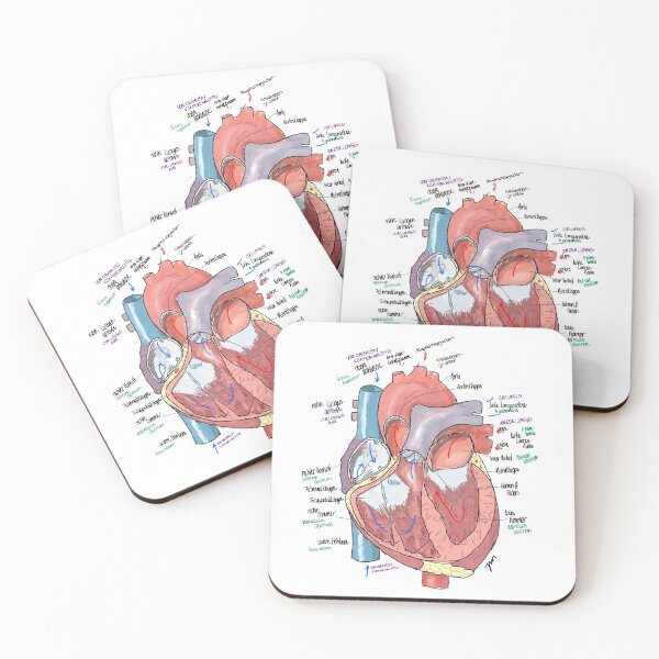 Item preview, Anatomical heart with lettering designed and sold by Johannamsd.
