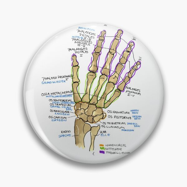 Item preview, Anatomical hand designed and sold by Johannamsd.