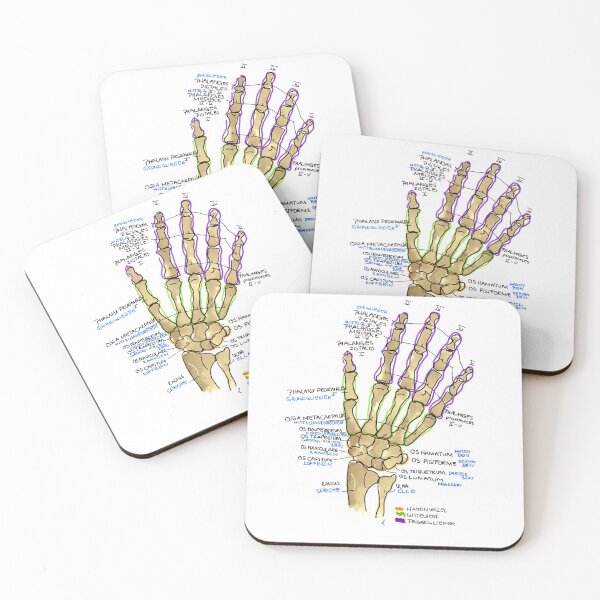 Item preview, Anatomical hand designed and sold by Johannamsd.