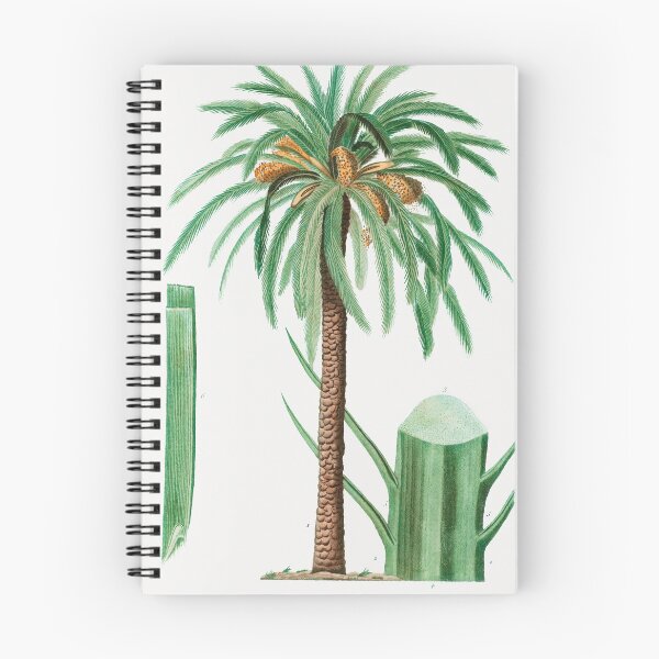 Item preview, Vintage Date Palm Poster designed and sold by redoARTstore.
