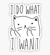 I Do What I Want Sticker