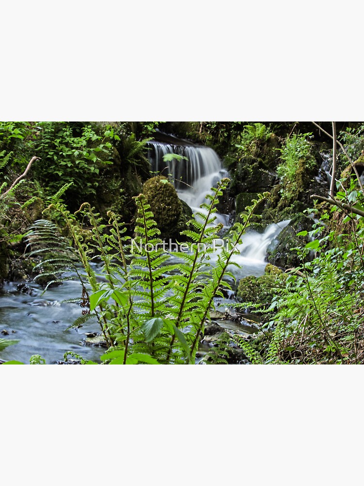 "Stricklands Glen Waterfall" Sticker by mijola Redbubble