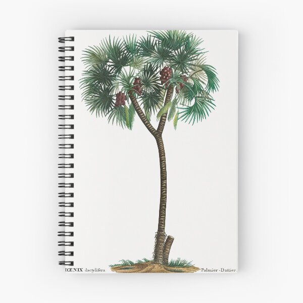 Item preview, Vintage Date Palm Poster designed and sold by redoARTstore.