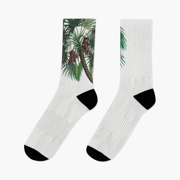 Item preview, Vintage Date Palm Poster designed and sold by redoARTstore.