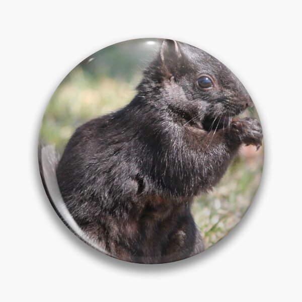 Item preview, Black Squirrel designed and sold by JMcCombie.