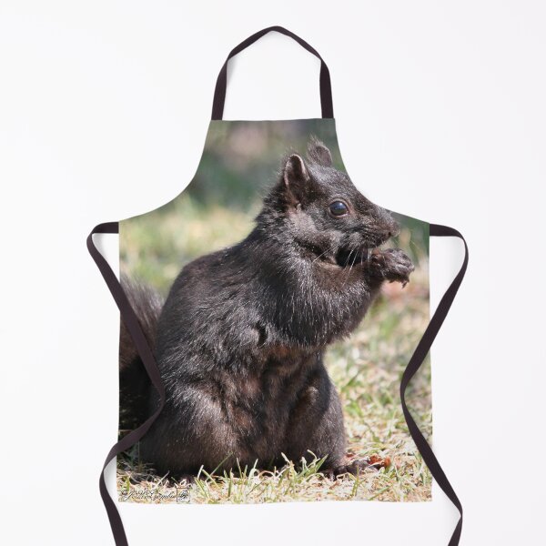 Item preview, Black Squirrel designed and sold by JMcCombie.