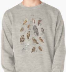 Eulen Sweatshirt