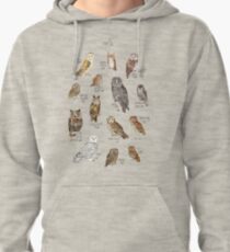 Owls Pullover Hoodie