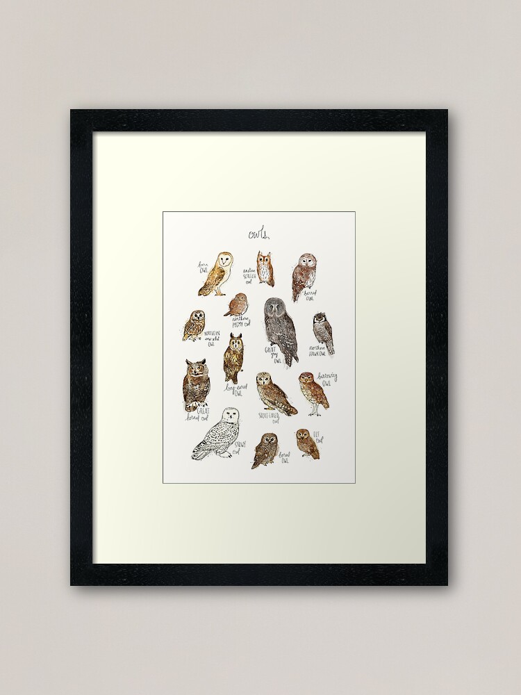 Thumbnail 2 of 7, Framed Art Print, Owls designed and sold by AmyHamilton.