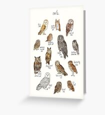 Owls Greeting Card