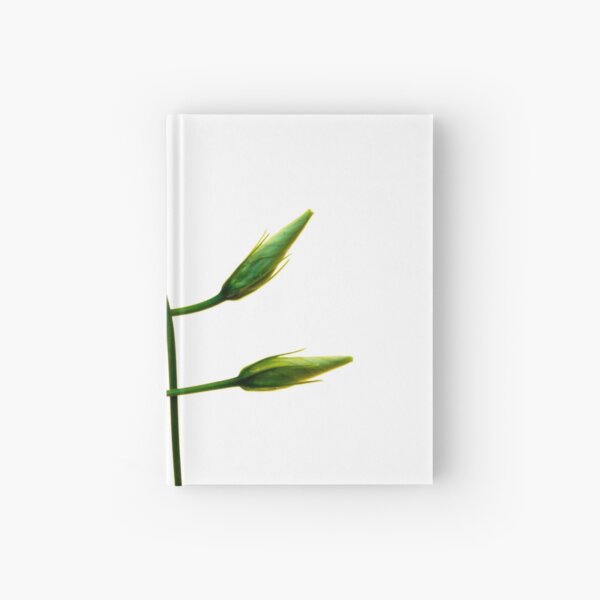 ALL GREEN Hardcover Journal