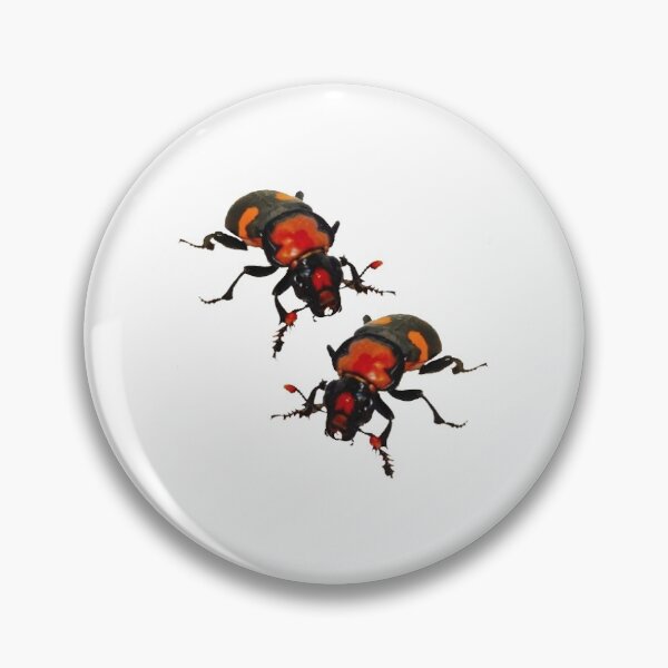 Item preview, burying beetle designed and sold by otterguppy.