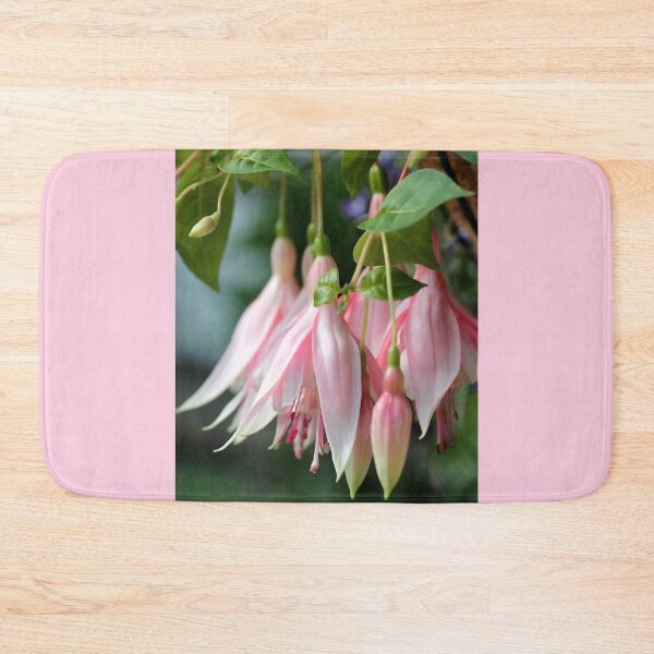 Item preview, Fuchsia named Sophisticated Lady designed and sold by JMcCombie.